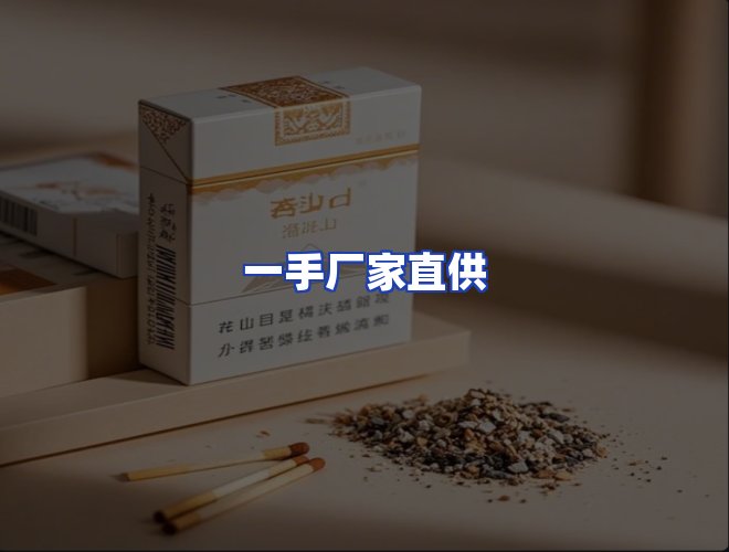 专业团队